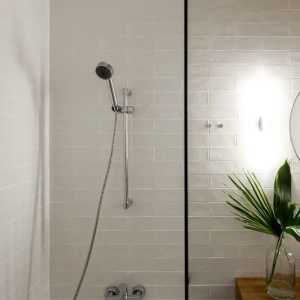 家庭极简主义卫生间淋浴房装修效果图