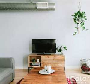 现代简约盆栽客厅家具沙发装修效果图